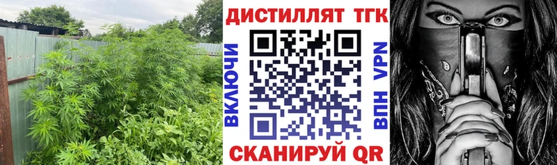 Купить закладки  Екатеринбург  ТГК гашишное масло 