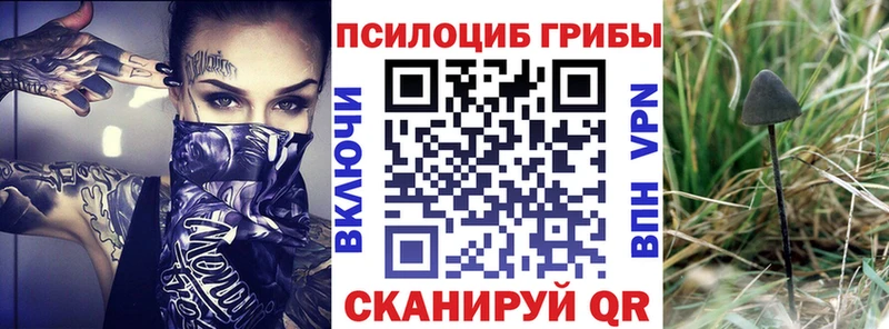 Купить  Екатеринбург  Галлюциногенные грибы Magic Shrooms 